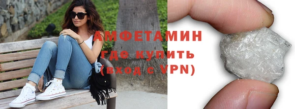 индика Нязепетровск
