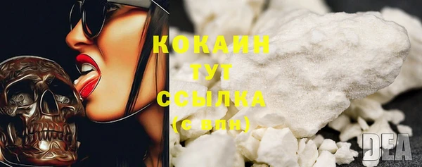 прущие крисы Няндома