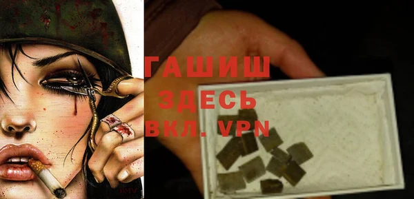 индика Нязепетровск