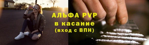 индика Нязепетровск