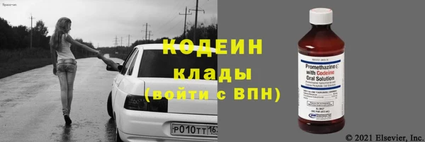 индика Нязепетровск