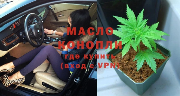 индика Нязепетровск