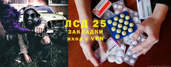 индика Нязепетровск