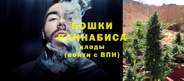 индика Нязепетровск