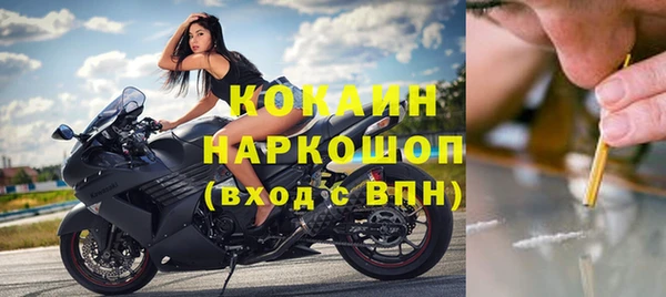 прущие крисы Няндома