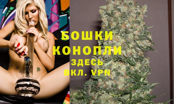 прущие крисы Няндома