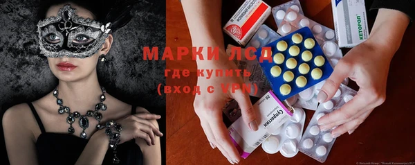 индика Нязепетровск